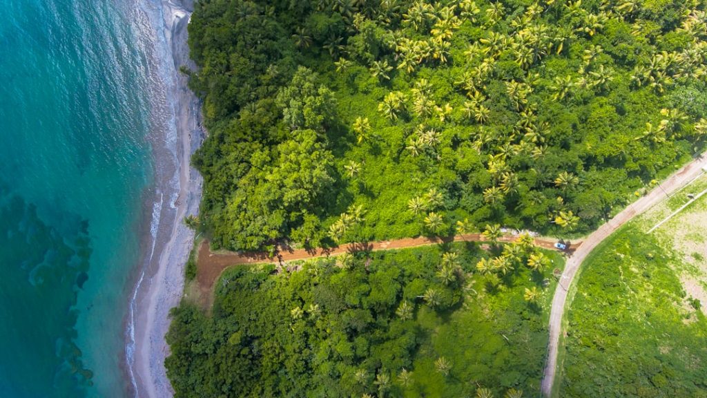 découvrez les enjeux du développement durable : un équilibre entre croissance économique, préservation de l'environnement et équité sociale. explorez les stratégies et initiatives pour un avenir responsable et respectueux de notre planète.