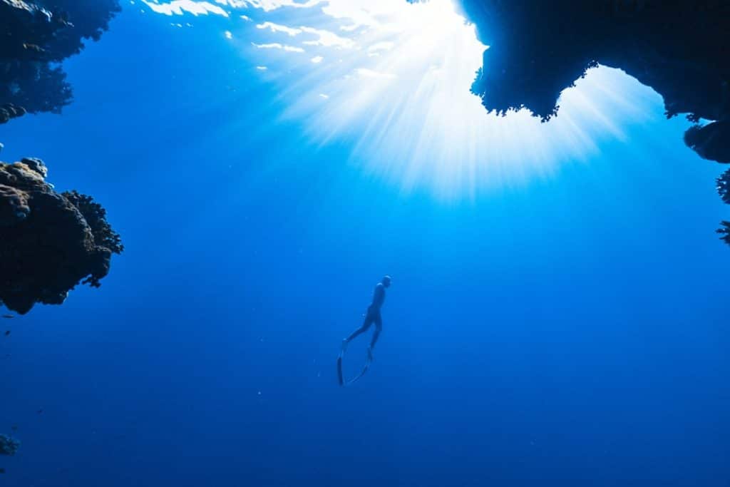 découvrez l'importance de la biodiversité pour notre planète, les menaces qui pèsent sur elle et les gestes à adopter pour la préserver. un voyage fascinant au cœur des écosystèmes et de leur rôle vital dans l'équilibre de la vie.