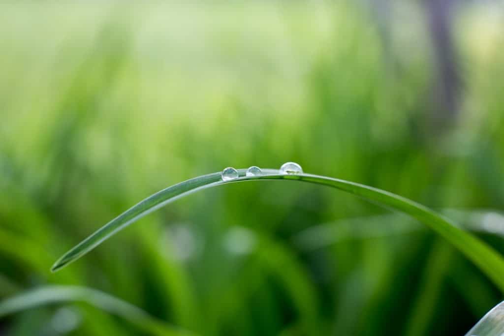 découvrez l'apaisement et l'harmonie intérieure avec notre guide sur la tranquillité. plongez dans des pratiques et des conseils pour cultiver un espace serein et équilibré dans votre vie quotidienne.