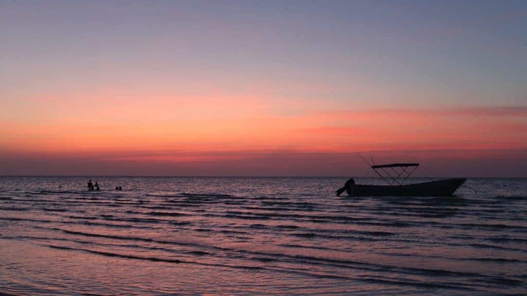 découvrez nos indispensables pour la plage : maillots de bain, serviettes, crèmes solaires et accessoires pour profiter pleinement de vos journées ensoleillées au bord de la mer.